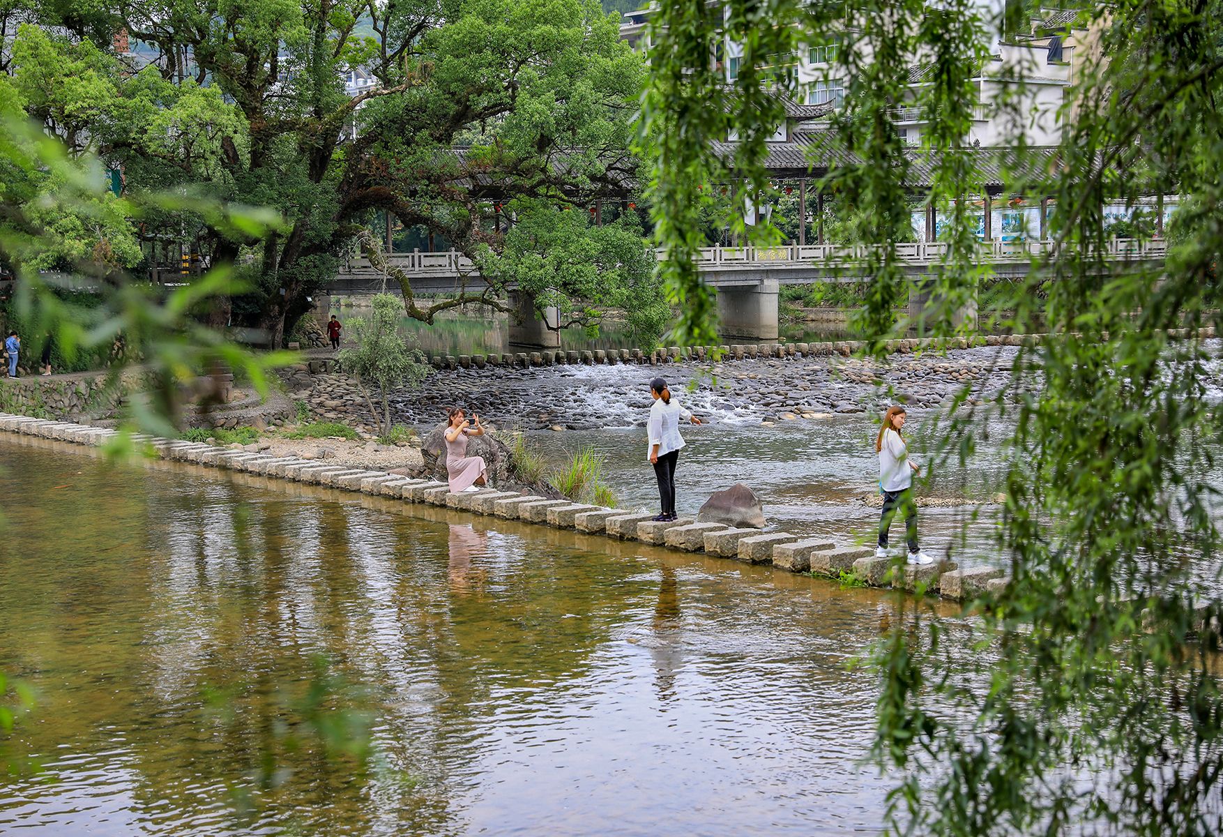 广东水绿清山有限公司,广东水绿清山有限公司，绿色生态建设的先锋力量