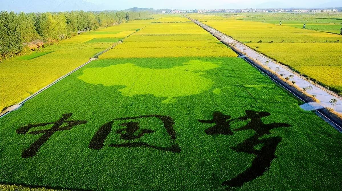 江苏雨欣农业科技,江苏雨欣农业科技，引领现代农业，助力乡村振兴