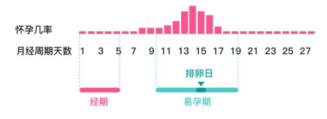 一个月的排卵期有几天,探究一个月中的排卵期，有多少天？