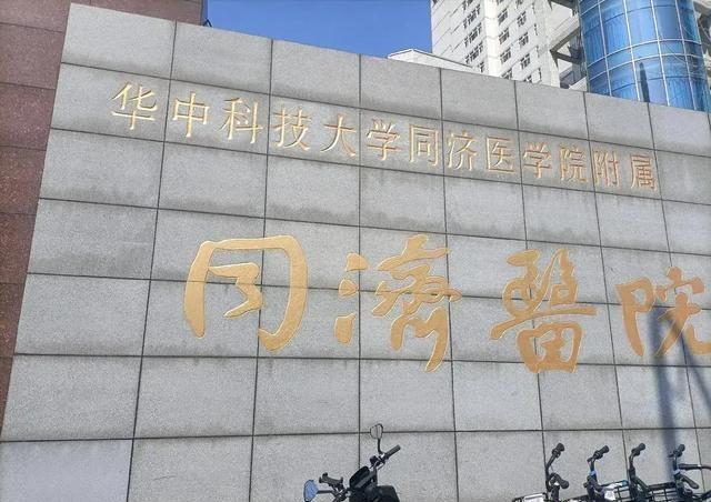 广东省药品价格如何查询,广东省药品价格查询指南