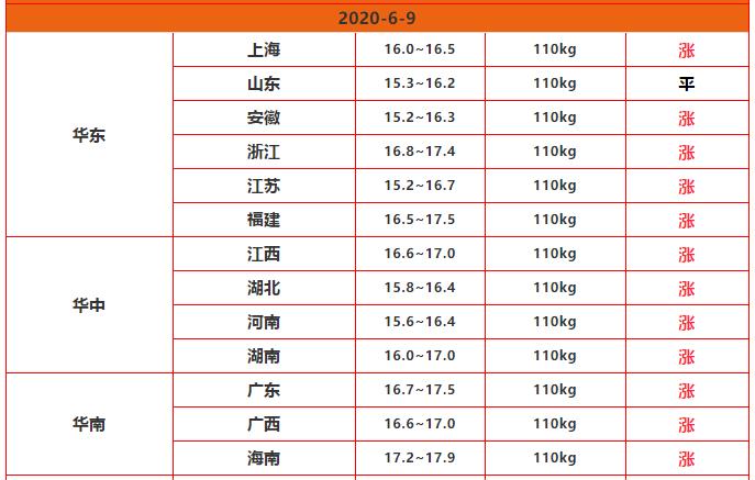 广东省猪价今日价格,广东省猪价今日价格动态及分析