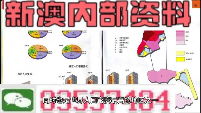 新澳门资料全年免费精准|学院释义解释落实,新澳门资料全年免费精准与学院释义解释落实，探讨背后的风险与挑战