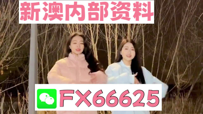 管家婆最准一码一肖9387期|多角释义解释落实,关于管家婆最准一码一肖与多角释义的探讨——警惕违法犯罪问题