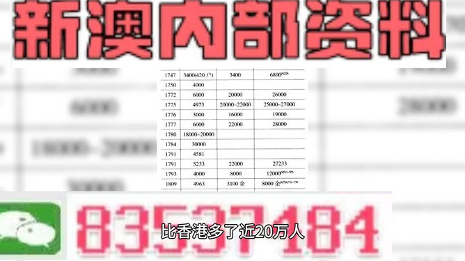 2024澳门资料精准大全|预测释义解释落实,澳门资料精准大全与未来预测，释义解释与落实分析