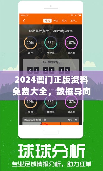 澳门600图库精准|界面释义解释落实,澳门600图库精准与界面释义解释落实详解