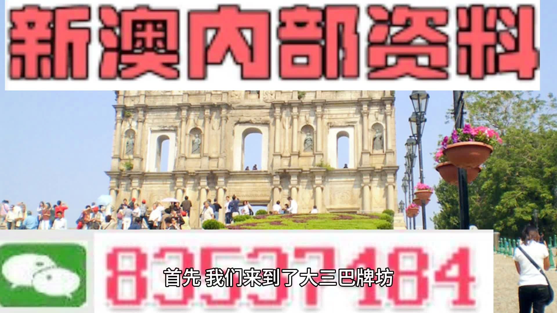 新澳2024正版资料免费公开|热点释义解释落实,新澳2024正版资料免费公开，热点释义与落实解析