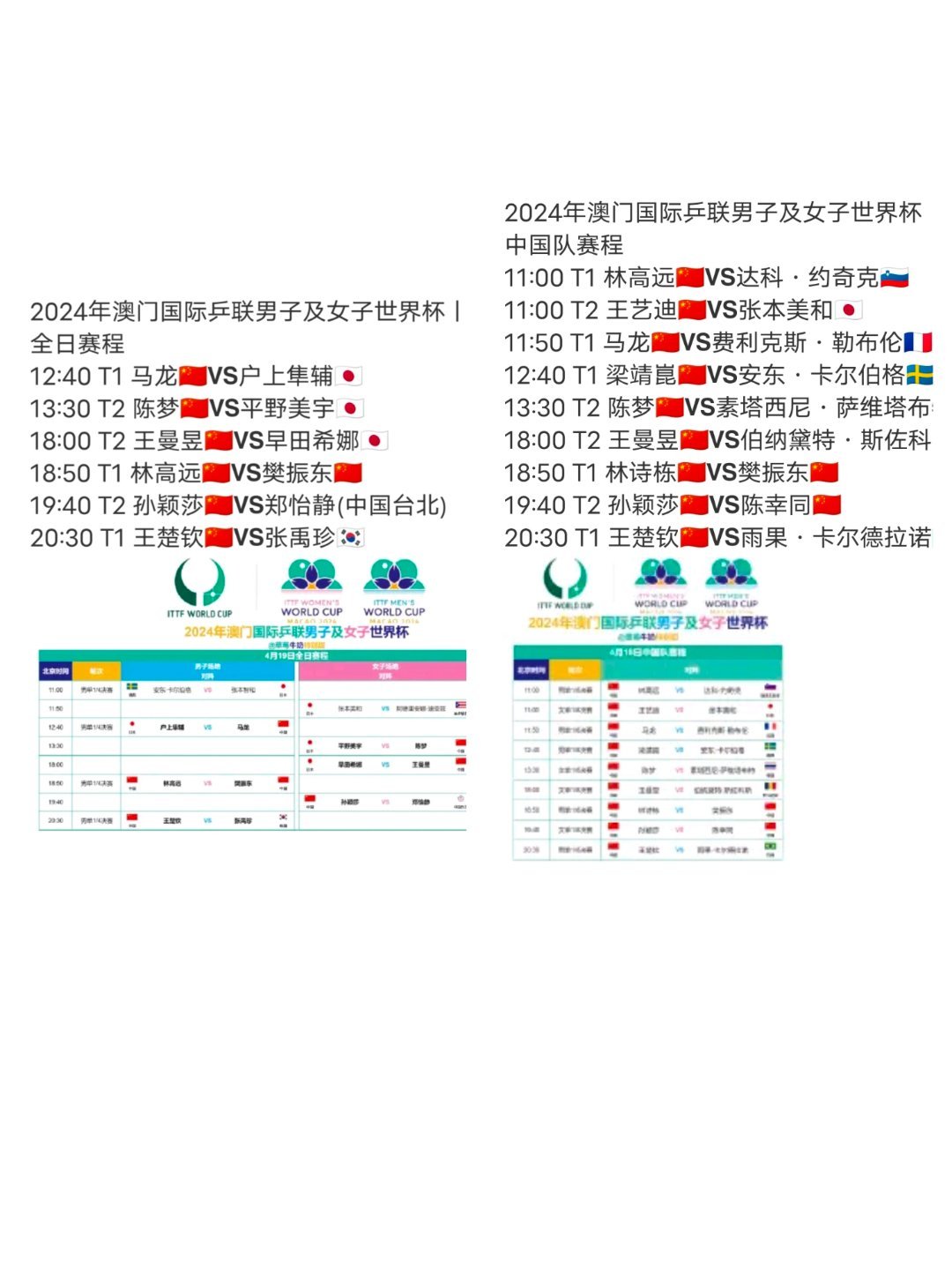 2024年新澳门王中王免费|战术释义解释落实,新澳门王中王战术释义与落实策略，迈向成功的指引（2024版）