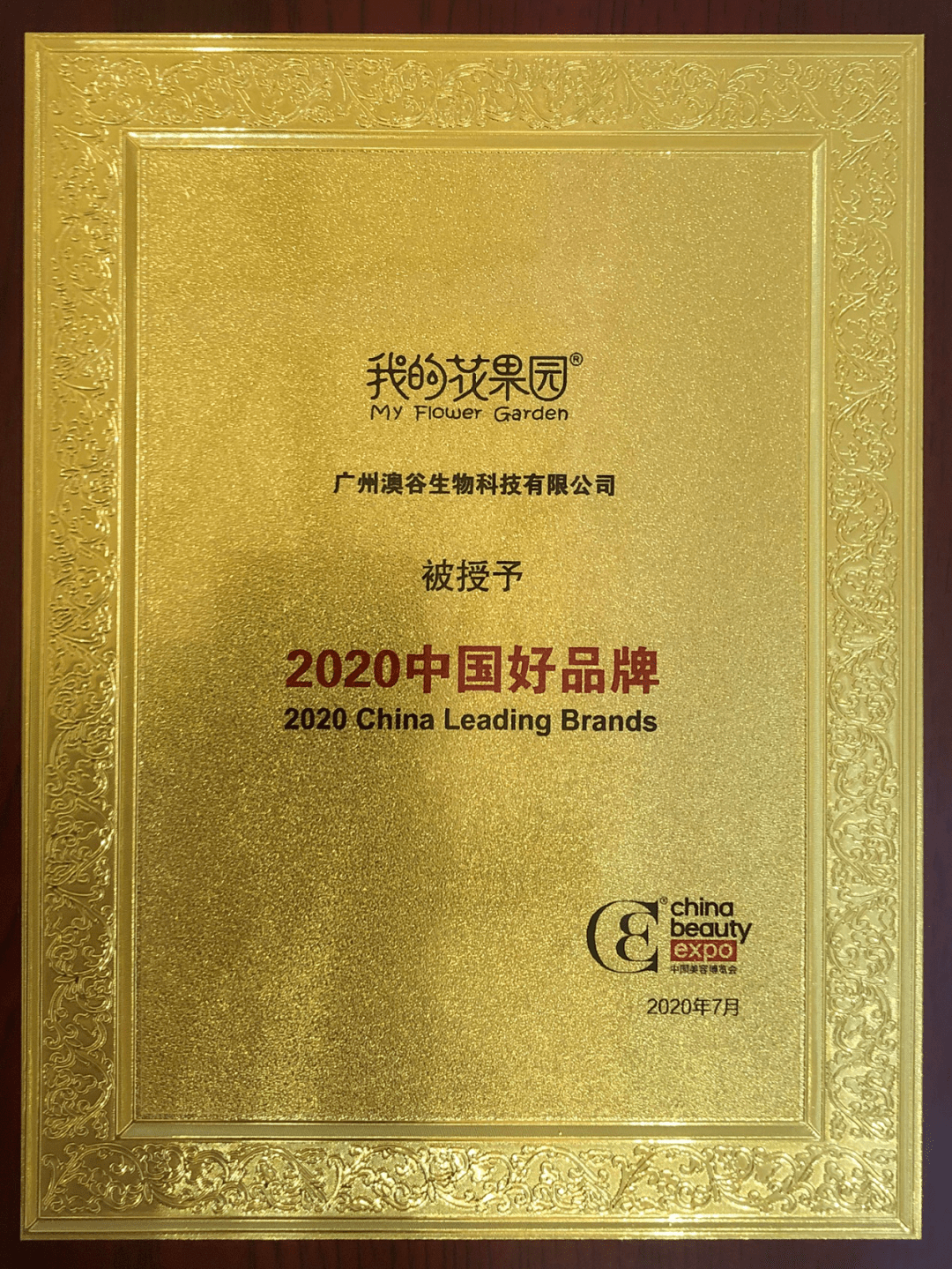 2924新澳正版免费资料大全|成名释义解释落实,探索2924新澳正版免费资料大全，成名的内涵与实现路径