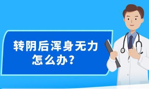 新澳精准资料免费提供|跨部释义解释落实,新澳精准资料免费提供与跨部释义解释落实的重要性